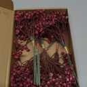 Nagobi Babys Breath Artificial Flowers Bulk 18pcs Maroon/Burgundy Fake Gypsophila Realistic Flowers for Wedding Arches Bouquets Table Centerpieces Floral Arrangements Party Decor