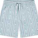 Hurley Boys Boys' Pull on Swim Trunks (Large, Mint Candy Seersucker)