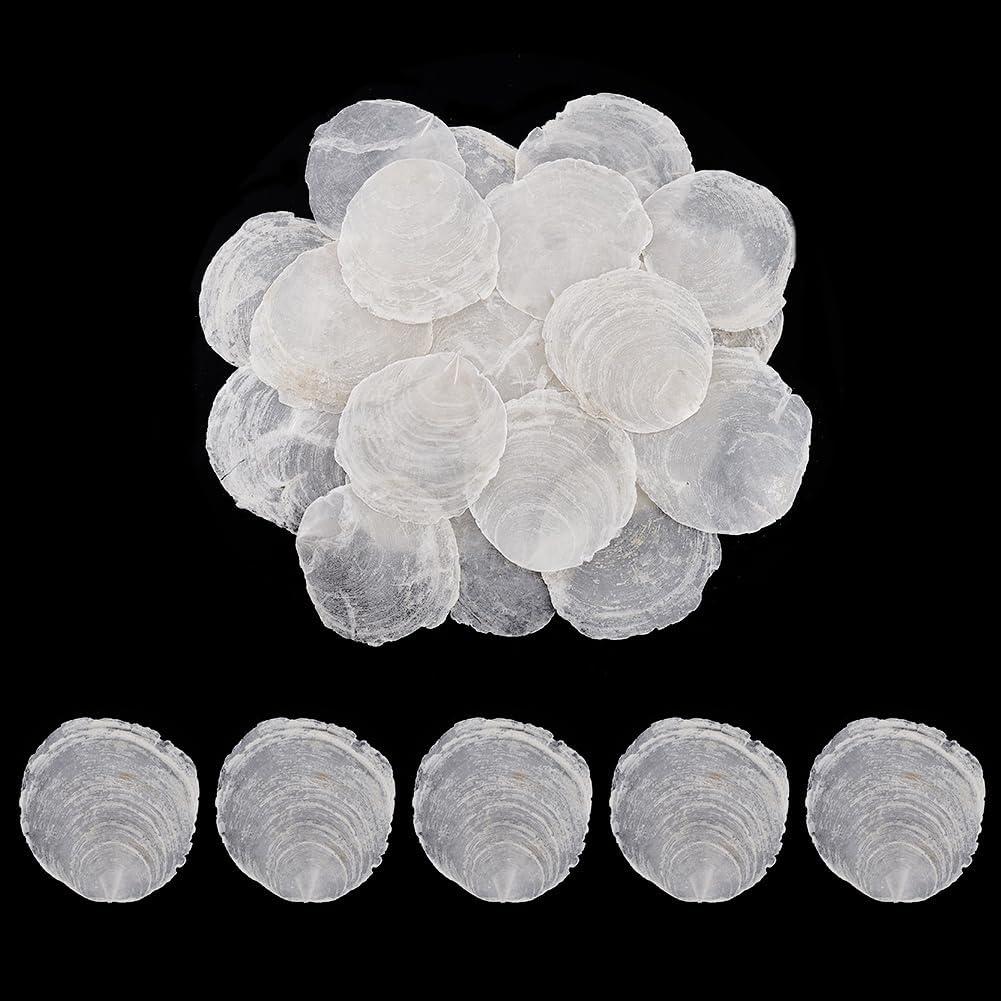 PH PandaHall 60pcs Undrilled Capiz Shells, 2~3.5 inch Large Shells Natural Capiz Sea Shell NO Hole White Shell Pieces for Place Cards Wind Chimes Handcrafts Jewelry Lampshades Making
