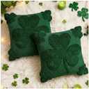 St Patricks Day Throw Pillow Covers Decorations 18x18 in 2-Piece Set,Green Pillow Covers Linen Spring Pillow Case Home Sofa St Patricks Day Decor. (Saint Patrick001)