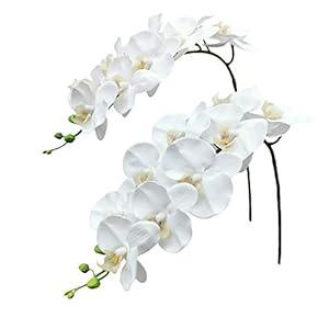 Fnize Orchid Stems Artificial Flowers Real Touch Latex Faux Phalaenopsis Branches 9 Large Blooms 38 Inches 2pcs White