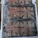 THOR Kitchen Professional 36-inch Cooktop/Rangetop in Stainless Steel - Model TGC3601