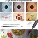 Light Box Photography 20x20in, PULUZ Portable Photo Studio Light Box with 200 LED Lights 12 Color backdrops Professional Photography Lighting Tent Kit for Big Product Photography Lightbox