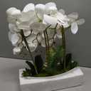 Briful Orchid Artificial Flowers 18in White Fake Orchid Silk Flowers with Ceramic Pot Faux Orchid Arrangement for Home Office Room Coffee Table Centerpiece Modern Decoration