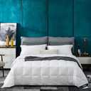 Globon Summer Down Comforter/Blanket King Size, Lightweight Duvet Insert for Hot Sleepers, Noiseless & Extra Soft Shell, 18OZ, 750 Fill Power, with Ties, Solid White
