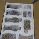 Zayton Nativity Set Christmas Indoor 11 Piece 5 inch Scene Figurines Statue Jesus Manger Christmas Crib Ornament Church Xmas Gift Home Decoration (Green)