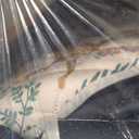 IEUUMLER Washable Pee Pads for Dogs, 2 Pack Forest Pattern Reusable Waterproof Puppy Pads, Non-Slip Super Absorbent Dog Training Pad for Playpen Crate Bed EU013 Beige Jungle, 41x36