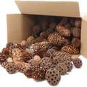 Apol Total 200 Pcs Natural Mini Pinecones Maple Fruit Ornament Set for Vase Fillers Photo Props DIY Home House Christmas Decoration Craft