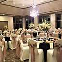 Obstal 50 PCS Satin Chair Sashes Bows for Wedding Reception- Universal Chair Cover Back Tie Supplies for Banquet, Party, Hotel Event Decorations (Champagne)