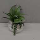Large Artificial Succulents Plants Faux Succulents 12" Fake Succulent Plants in Gold Ceramic Pot Succulent Plant for Desk Modern Home Living Room Office Table Bathroom Decor