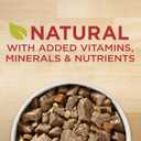 Purina ONE Natural Wet Dog Food Gravy, Tender Cuts in Gravy Beef and Barley Entre - 13 Ounce (Pack of 12) (EXP 09/30/27)