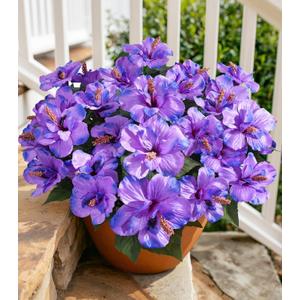 HyeFlora Artificial Hibiscus Flowers for Outdoors Faux Plant Spring Decor, 4 Bundles Fake Tropical Flowers UV Resistant Realistic Outdoor Silk Flower for Outside Planter Porch Patio Garden Window Home, Purple Hibiscus