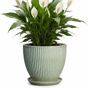 8 Inch Planter, Ceramic Plant Pots with Drainage Hole and Saucer, Decorative Pots for Plants Indoor, Ceramic Flower Pots, Round Modern Planter, Living Room Decor, House Warming Gifts, Green