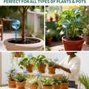Soilagua 12-Pack Plastic Plant Watering Globes, Premium PVC Shatter-Resistant Plant Waterer, Tapered Opening Self Watering Planter Insert, Automatic Watering Spikes for Daily & Vacation Plants Care