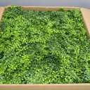 Grooy 20"x20" Artificial Hedge Grass Wall, 12PCS Boxwood Panels(33.33 sq.ft), Greenery Backdrop Panles, UV Protected Privacy Fence Screen, Green Wall Decor for Outdoor Indoor Wedding Dcor