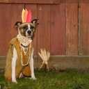 Elegant Little Tail Dog Collar with Thanksgiving Turkey Print, Flower Girl Boy Dog Collar for Large Dogs (Large (Pack of 1))