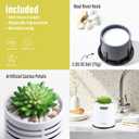 2 Pack Artificial Succulent Plants with Subtle Lemon, Faux Indoor Plants for Home Decor, Small Fake Plant for Bathroom, Bedroom, Office Decor, Aesthetic Room Accessories, Housewarming Gift