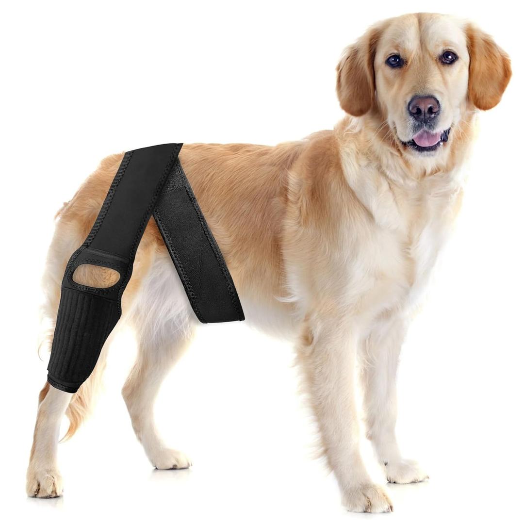 Dog Knee Brace for Torn ACL  Elastic Support, Adjustable Compression Stabilizer, Breathable Neoprene, 4-Leg Universal Fit (Front/Rear, Left/Right) for Post-Surgery Recovery (M)