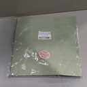 VIVIQUEN 24 Sage Green Pattern Double-Sided Paper, 12-inches Solid Color Textured Scrapbook Paper for DIY Background Card Making