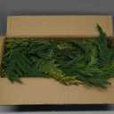 Somikis 9FT Christmas Garland Real Touch Norfolk Pine & Cedar Garland, Artificial Realistic Greenery Garland for Mantle Table Stair Railing Indoor Outdoor Christmas Decorations