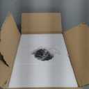 Industrial Semi Flush Mount Ceiling Light, 800 Lumen LED Bulb Included, Clear Glass Shade Ceiling Light Fixture, Farmhouse Light Fixture for Hallway Corridor Kitchen Bathroom Bedroom Passway (Large)