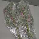 GoClimber 6 Pcs Snowy Artificial Cedar Picks with Red Berries, Christmas Tree Picks Frosted Faux Cedar Sprays with Greenery Branches Stems, Floral Picks for Vase Fillers Craft Wreath Holiday Dcor