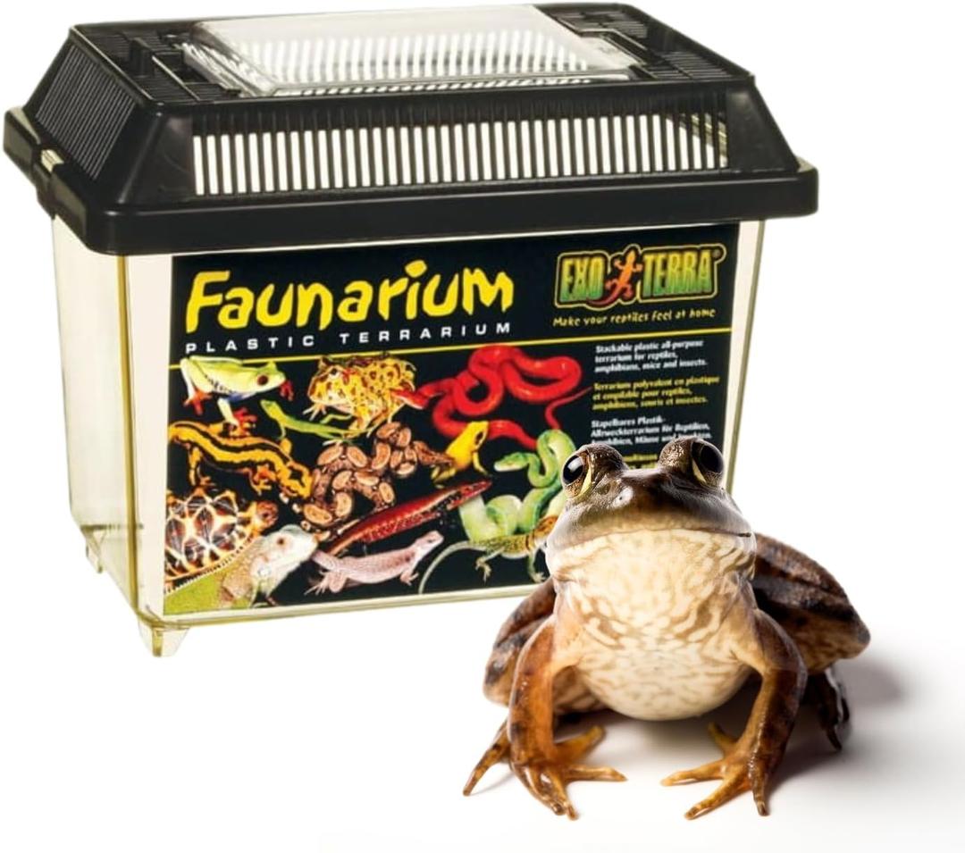 Exo Terra Faunarium, Plastic Reptile Terrarium, Large, PT2265