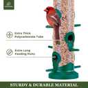 Kingsyard 2 Pack Tube Bird Feeders for Outdoors Hanging, Premium Hard Plastic Bird Feeder with 6 Feeding Ports, Weatherproof & Steel Hanger, Attracting for Wild Birds (Green)