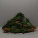 10 Ft Extra Full Christmas Garland, Real Touch Norfolk Pine Garland, Artificial Dense Pine Greenery Garlands for Fireplace, Mantle, Table, Indoor, Outdoor Christmas Decorations, Gift