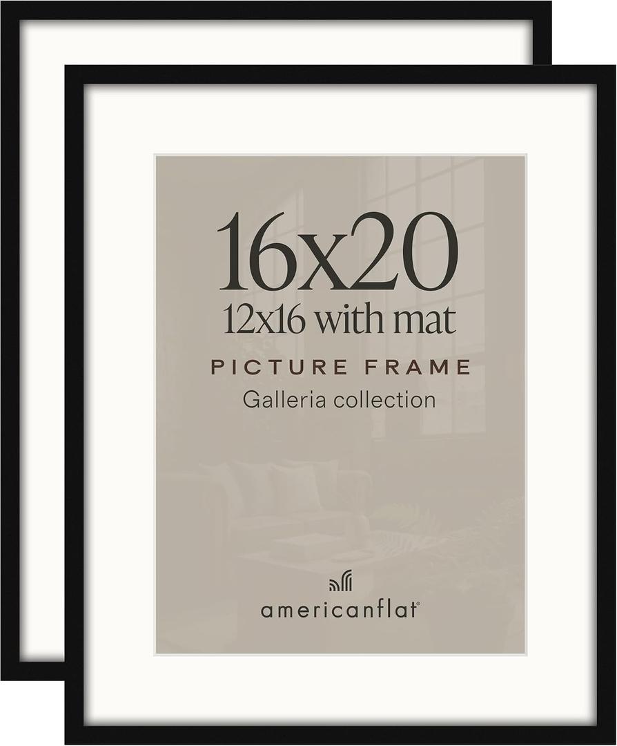 Americanflat 16x20 Poster Frame 2-Pack - Matted to 12x16 - Black, 16x20 with 12x16 Mat