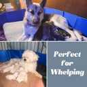 Artilife Whelping Pen for Dogs,Whelping Box for Dogs and Puppies,Dog Birth Supplies,Portable Whelping Pool Whelping Box,Foldable Dog Bath Pool (63inch Dia.x12inch H(160x30cm))