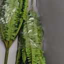 FOREST PRINCE 45" Fake Ferns, Realistic Large Artificial Bush Plants, 2 Artificial Boston Ferns with 59 Fronds for Outdoors Planter Indoor Home Garden Porch Decor (Green)
