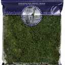 SuperMoss (21512) Preserved Sheet Moss, Fresh Green, 8oz (200 cubic inch) (200 in3 Bag (Appx. 8oz))