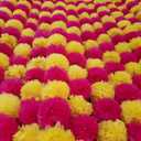 15Pc Marigold Garlands 4.5Ft Artificial Marigold Flower Strands Diwali Decoration Pooja Wedding Home & Indian Festival Dcor Vibrant Floral Faux for Da de Muertos & Day of Dead