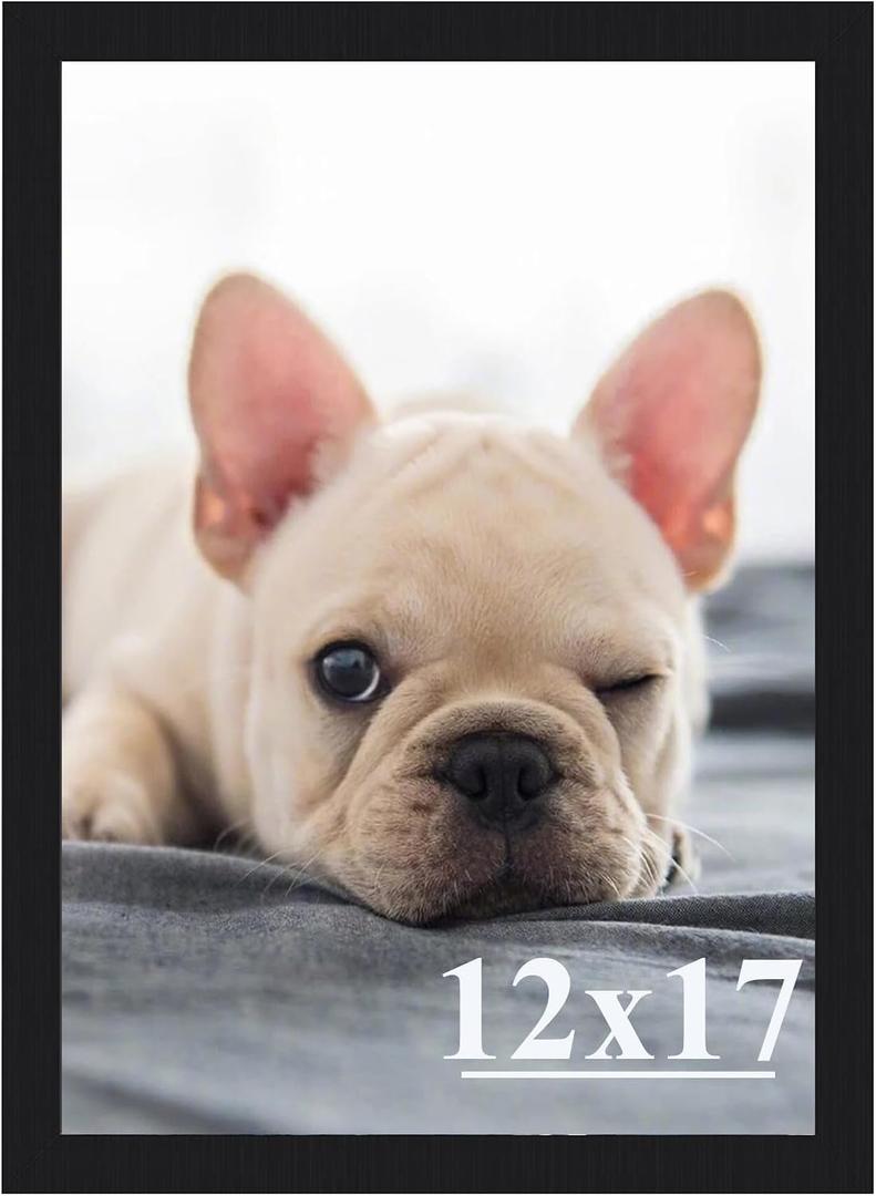 RUN HELIX 12x17 Picture Frame, Wall Gallery Photo Frames,Stable and Sturdy Black Frame with High Definition Plexiglass,12x17 Poster Photo Frame,Horizontal and Vertical Formats for Wall Hanging, Black