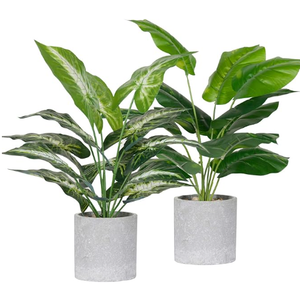 Der Rose 2 Pack Fake Plants Artificial Tropical Faux Plants Indoor for Office Desk Home Sage Green Decor Small