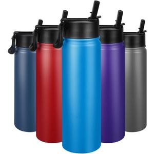 24 oz Insulated Water Bottle with Straw, Stainless Steel Double Wall Vacuum Thermos with Straw Lid Leak Proof, Wide Mouth Lid, Keep Cold and Hot (Blue)