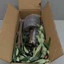 Olive Tree,5FT Olive Trees Artificial Indoor with Moss and Planter,Artificial Plants Indoor Faux Olive Tree with Realistic Trunk and Lifelike Fruits, Fake Tree for Home Office Living Room Decor