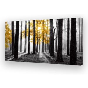 Cao Gen Decor Art S06362 Wall Art Canvas Painting Yellow Tree in Black and White Sunshine Foggy Forest Picture Poster Print Framed Ready to Hang for Living Room Bedroom Office Home Decor (48"L x 24"W)