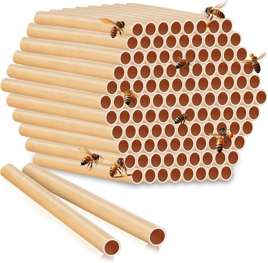 250 Pcs Phragmite Reed Mason Bee Tubes Set Bee Hotel Nest Box Pollinator Bee Box for Mason Bee Houses Natural Phragmite Bee Nest Bees Supplies Refill Your Mason Bee House Bee Hive