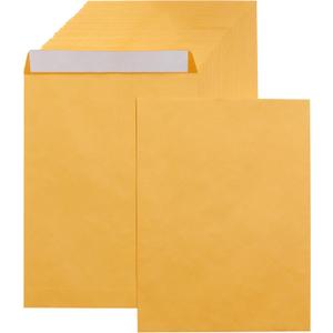 Amazon Basics Catalog Mailing Envelopes, Peel and Seal, 9x12 Inch, Brown Kraft, 250-Pack