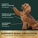 VetriScience Kidney Health Chewable Tablets, Renal Essentials Supplement for Dogs, Urinary Tract and Kidney Support with Mushroom, Astragalus Root, Nettle Seed and Herbs, Smoke, 60 Count