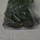 Berfutall- Feather Butterfly Decorations Set of 6 Vibrant Multi Colored Craft Butterflies on Clip .Party Spring Home Decor Floral Pics.St.Patrick'sDay