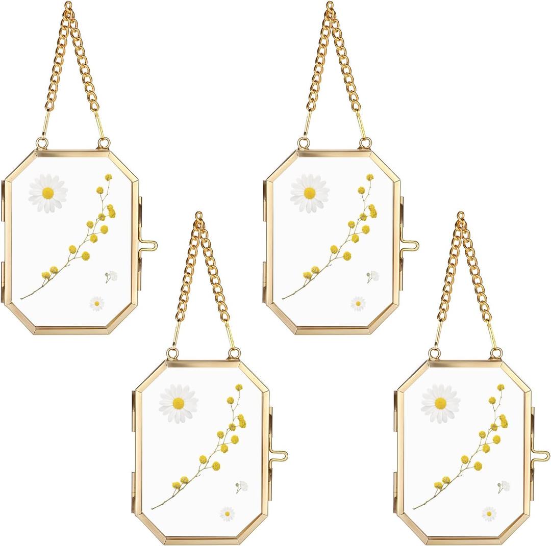 JUXYES 4 Pack Wall Hanging Brass Glass Ornament Frames, Double Glass Brass Tiny Frame for Pressed Flowers, Golden Octagon Metal Floating Frame Ornaments for Picture, Pressed Flower, Poster, Vertical