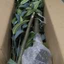 6.73ft Artificial Eucalyptus Tree, Faux Tree with Lifelike Leaves, Fake Eucalyptus Tree with Sturdy Plastic Pot, Artificial Plants for Office Home Living Room Indoor Outdoor Decor