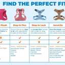 Voyager Step-in Pet Harness - All Weather Mesh, Adjustable Step in Harness for Cats and Dogs by Best Pet Supplies - 307S Black, M (M (Chest 15 - 17"))