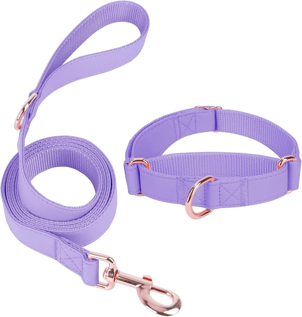 Soft Leather Martingale Dog Collar - Adjustable Rose Gold Limited Slip Collars [Easy to Clean], Stylish Durable Heavy Duty Nylon No Pull Training Collar for Dogs (XS, Set Purple)