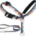 BARKLESS Dog Head Collar, Anti-Pulling Printed Head Halter with Leash, Gentle Snout Harness with Adjustable Clip for Small Medium, and Large Dogs, Perfect for Training Leash-Reactive Pullers (L (Snout Cir:12-14"), Tree)