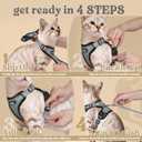 rabbitgoo Cat Harness and Leash for Walking, Escape Proof Soft Adjustable Vest Harnesses for Cats, Easy Control Breathable Reflective Strips Jacket, Grey, M