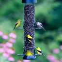 Brome Tube 200 Wild Bird Feeder, Metal, 6 Seed Ports, 3.4 lb Capacity, Extra-Wide Perches, Easy to Fill & Clean, Pole-Mountable